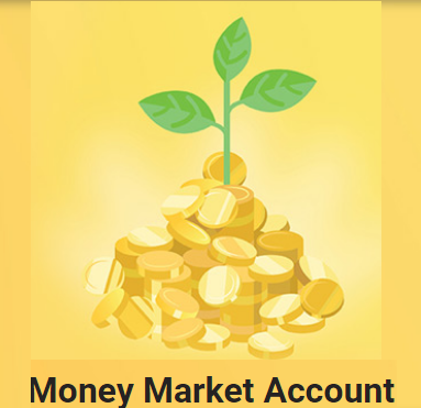 Sampath Bank Plc Money Market Account Fixed Deposit